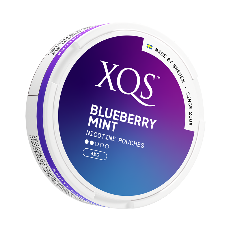 XQS Blueberry Mint